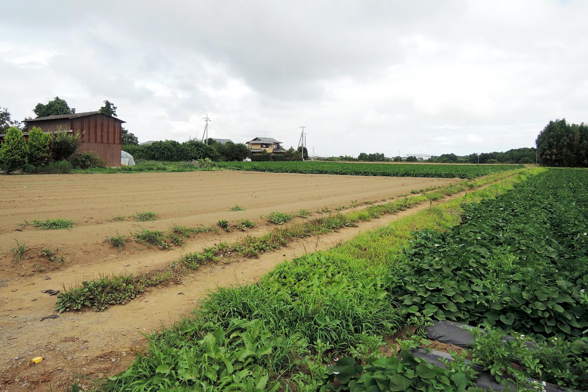 茨城町 不動産 長岡 土地