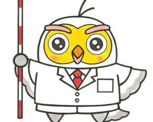 表示登記
